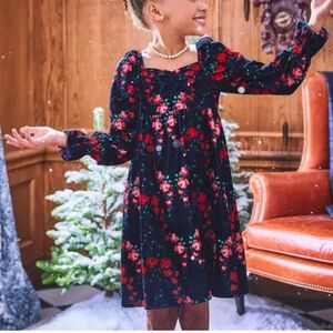 Janie and Jack Marine Rose Velvet Dress Size 8